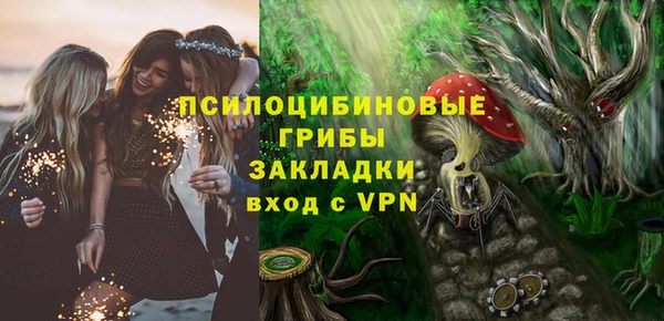 твердый Кинешма