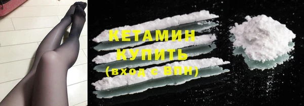 стаф Ельня