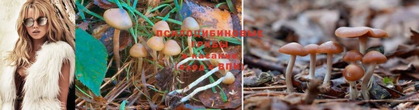 спайс Карпинск