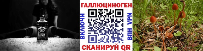 Псилоцибиновые грибы мухоморы Нея
